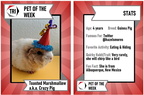 TRI Pet of the Week 2