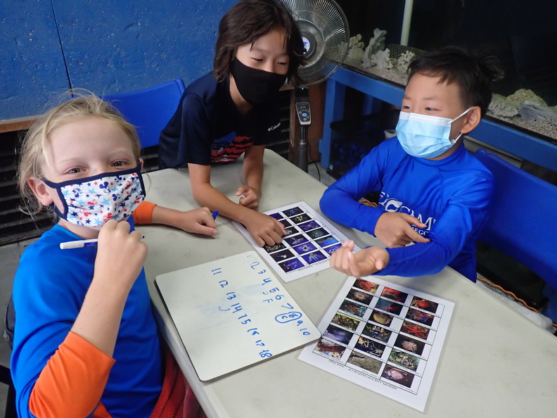 Summer July 5 (397).JPG