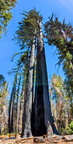PXL 20220819 190504241.PANO 2