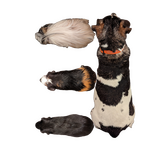2023