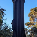 PXL 20231121 153513302~2