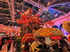 PXL 20231123 065937721~2