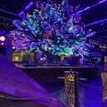 IMG 5542