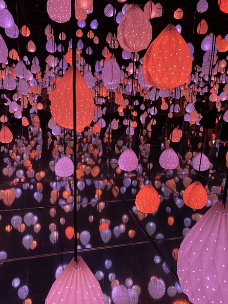 IMG_5521.jpeg