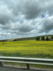 20240623153351-ff4f9700