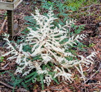 PXL 20260214 185753251~2