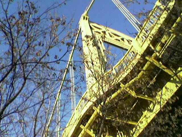 flickr-93788295.jpg